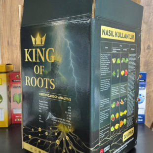 king-of-roots